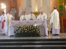 Dąb jubileuszowy