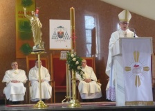 Dąb jubileuszowy