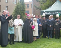 Dąb jubileuszowy