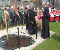 Dąb jubileuszowy