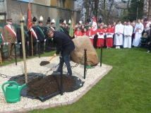 Dąb jubileuszowy