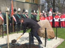 Dąb jubileuszowy